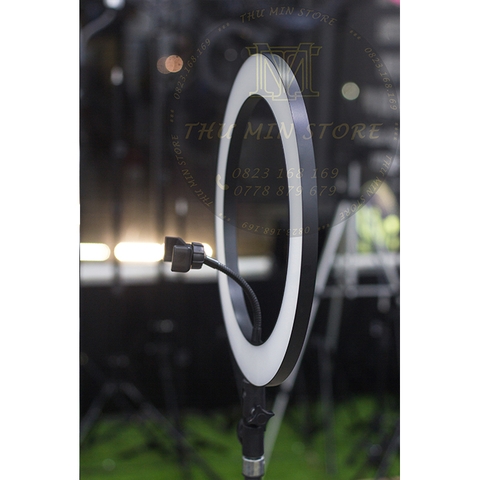 Đèn Ringlight R360 - size 36cm.