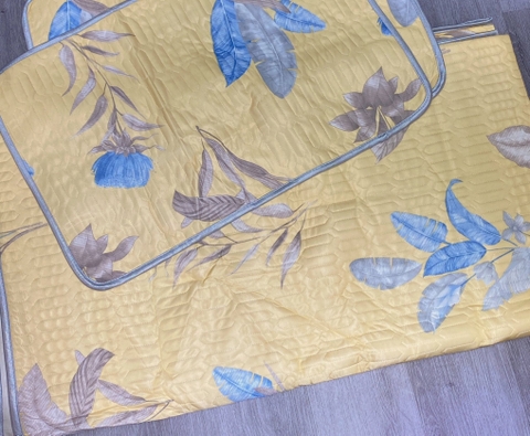 Chiếu Điều Hòa Nội Địa R17L01