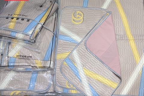 Chiếu Điều Hòa Nội Địa R17L01