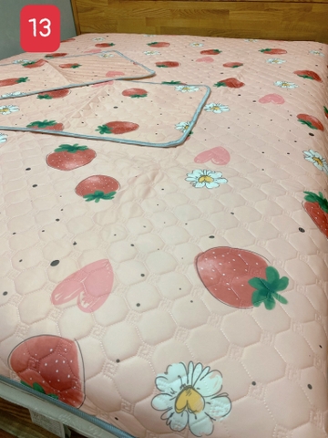 Chiếu Điều Hòa Nội Địa R17L01