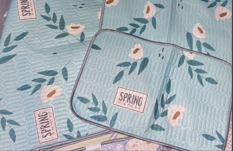 Chiếu Điều Hòa Nội Địa R17L01