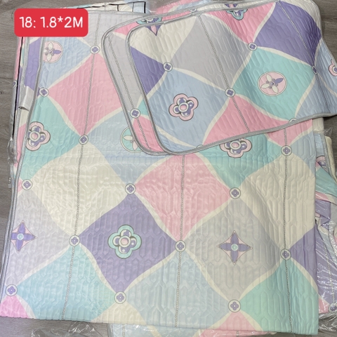 Chiếu Điều Hòa Nội Địa R17L01