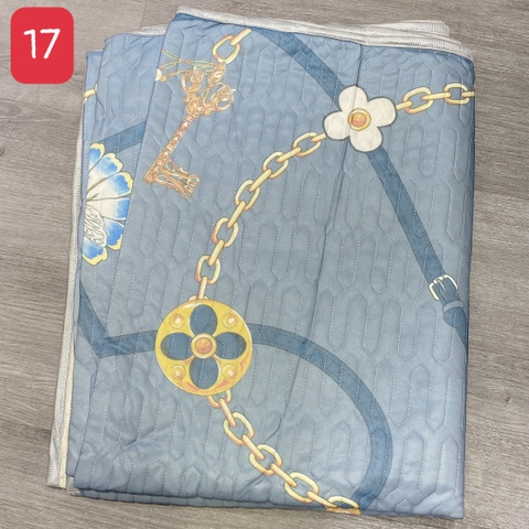 Chiếu Điều Hòa Nội Địa R17L01