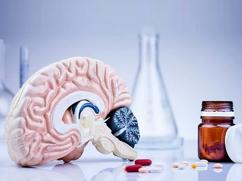 Uống thuốc bổ não có tốt không? 5 sai lầm phổ biến về uống thuốc bổ não