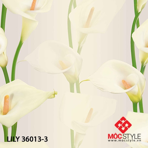 Giấy dán tường Lily - Giấy dán tường Lily 36013-3