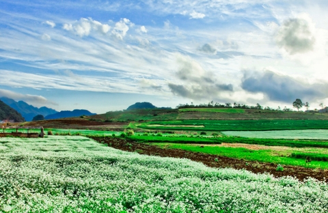 HẢI PHÒNG – MAI CHÂU – MỘC CHÂU – HẢI PHÒNG