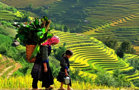 HẢI PHÒNG - LÀO CAI - SAPA