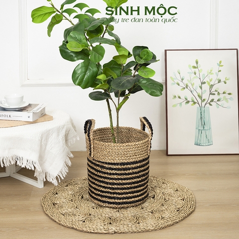 Giỏ cói trồng cây sọc đen, sọt cói đựng đồ, cói decor, trang trí nhà cửa Sinh Mộc - M1029