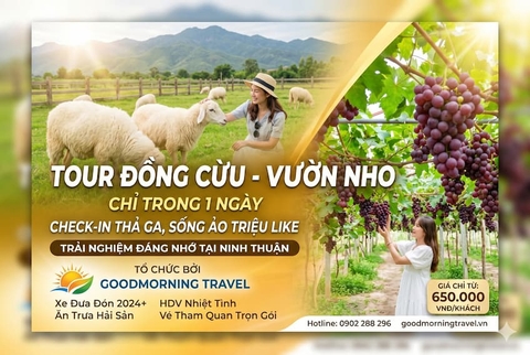 Tour Đồng Cừu - Vườn Nho