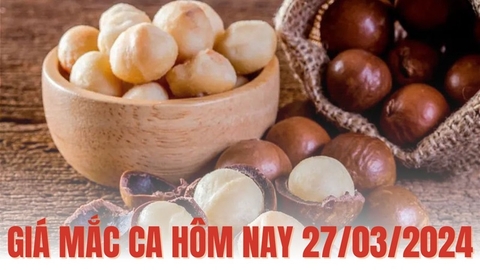 Giá hạt Mắc Ca trong nước ngày 27/3/2024