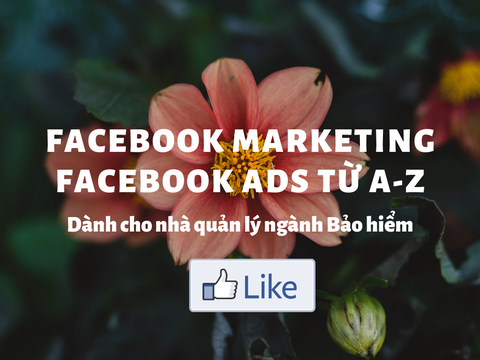 Dịch vụ hậu cần Bảo hiểm tại BigFamily: Video hướng dẫn Facebook Marketing, Facebook Ads trong tuyển dụng