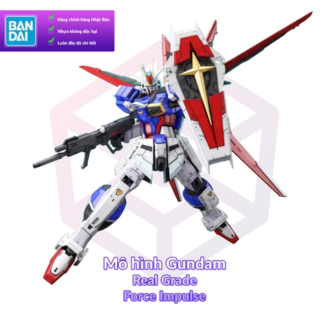 Mô Hình Gundam Bandai RG 33 Force Impulse Gundam 1/144 Gundam SEED Destiny [GDB] [BRG]