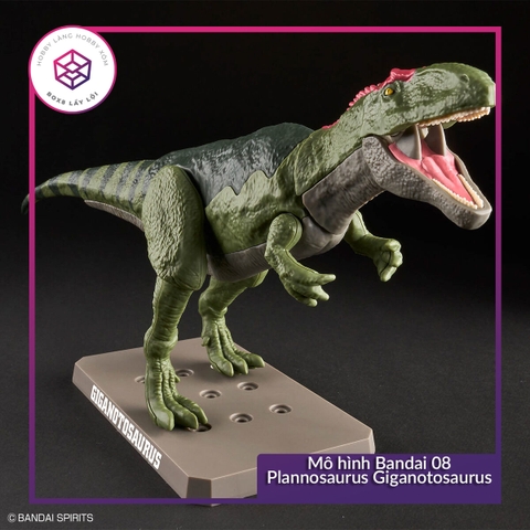 Mô hình Bandai 08 Plannosaurus Giganotosaurus [GDB] [MKB]