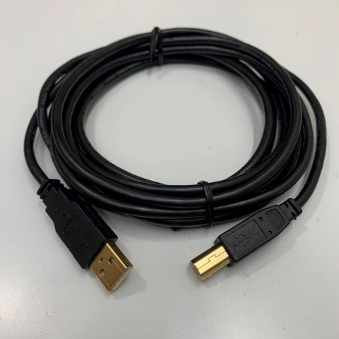 Cáp Lập Trình USB-DOP 10ft USB 2.0 Type A Male to Type B Male Cable 3M For HMI Delta DOP Series HMI Touch Screen Connect Computer