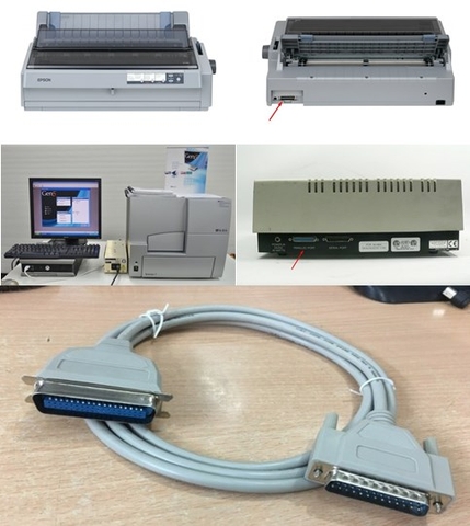 Cáp Máy In 71072 Parallel Printer Cable Epson LQ-2190 DB25 Pin to DB36 Pin For BioTek ELx800 ELX800UV Artel ELx800NB Length 1.9M