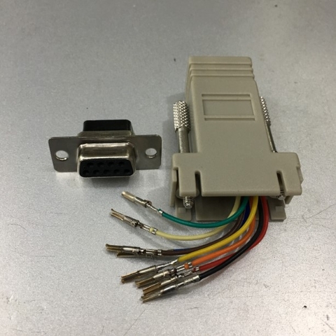 Rắc Cắm Kết Nối DB9 Female Hembra to RJ45 Female Modular Adapter