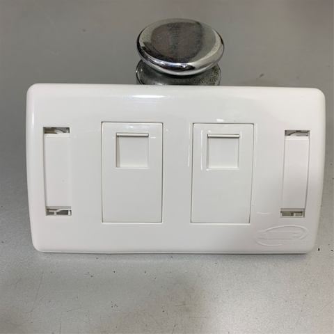 Mặt Chữ Nhật WallPlate AMP US Style Decorator Faceplate Kit 2-Port 2-1427030-2