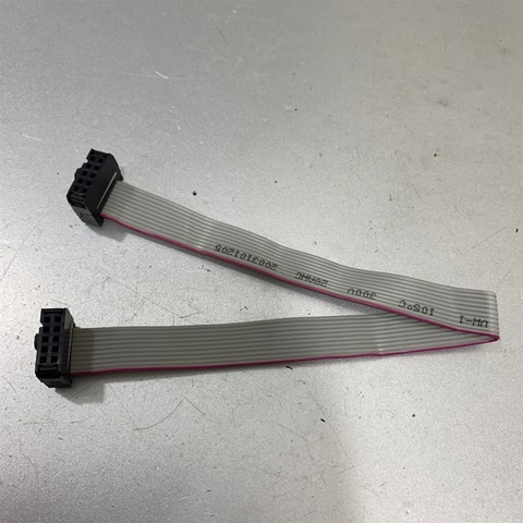 Cáp Kết Nối IDC 10 Pin Flat Ribbon Cable Female to Female 2.54mm With 2 Connectors 25Cm