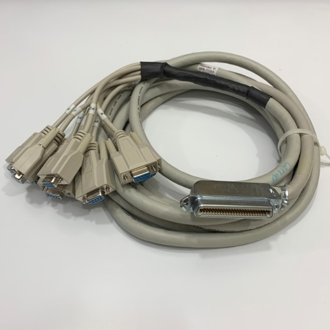 Cáp Chuyển SCSI 1 Female 50 Pin 157-82500-3 AMPHENOL RJ21 Female to 8 Port DB9 Female Dài 4.5M MD42362-00 MFR 1TQE8