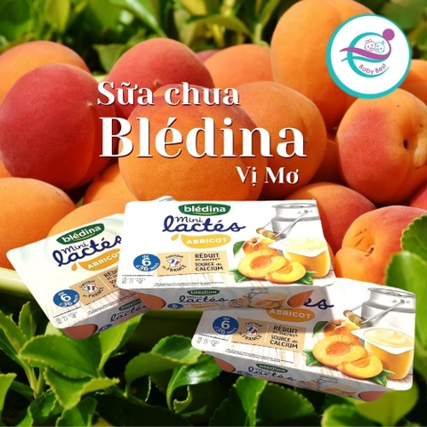 Sữa chua Bledina vị mơ 55gx6 cho bé từ 6 tháng tuổi