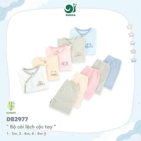 DB2977 - Bộ cài lệch cộc tay