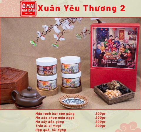 SET QUÀ XUÂN YÊU THƯƠNG 2 - Ô MAI GIA BẢO - MÓN QUÀ TẾT Ý NGHĨA