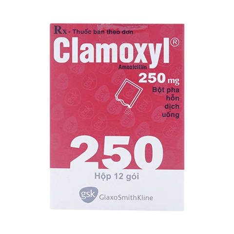 Clamoxyl 250Mg