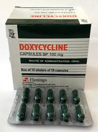 Doxycycline 100Mg Flamingo