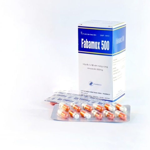 Fabamox 500mg