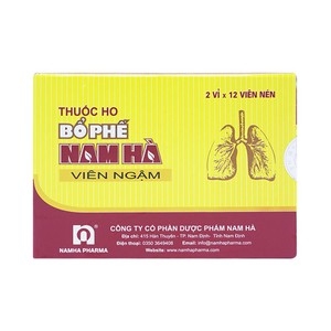 Thuốc Ho Bổ Phế Nam Hà Ngậm