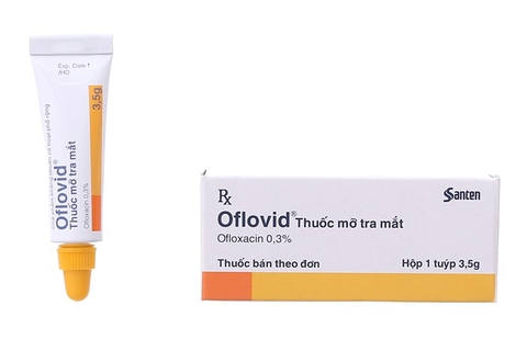 Thuốc mỡ tra mắt kháng sinh Oflovid 0.3% 3.5g