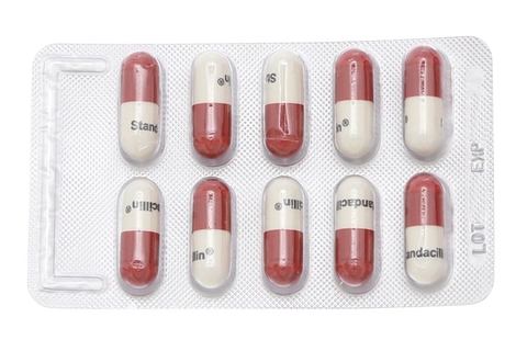 Thuốc kháng sinh Standacillin 500mg