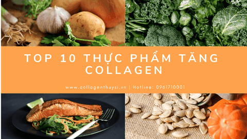 Top 10 Loại Thực Phẩm Giúp Tăng Collagen Tự Nhiên