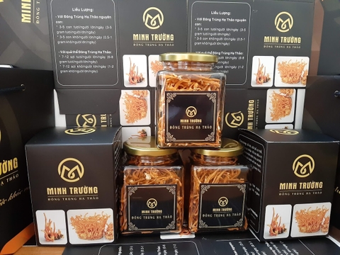 đông trùng  hạ thảo minh trường hỗ trợ điều trị bệnh tiểu đường