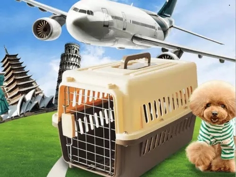 HP - Lồng hàng không ( 4 size) lồng vận chuyển chó mèo hàng không (Màu ngẫu nhiên)-HP10572TC / lồng chó/ lồng mèo / đựng chó mèo