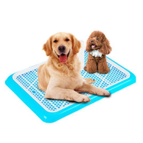 HP- Khay vệ sinh cỡ lớn 65cm x 42cm cho chó cái hoặc chó đực đến 20kg  loại khay vệ sinh cho chó lớn loại có cọc