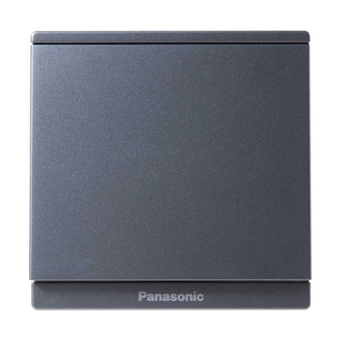 Bộ công tắc đơn màu xám ánh kim Panasonic Moderva WMF502MYH-VN