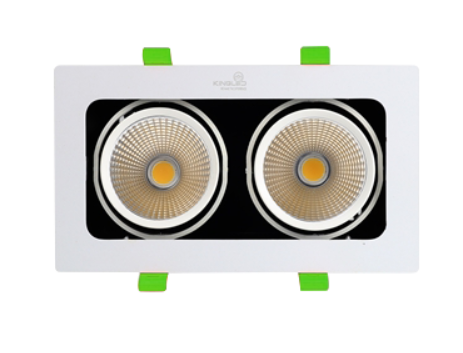 Đèn hộp âm trần rọi điểm 20W KingLed GL -2*10-V