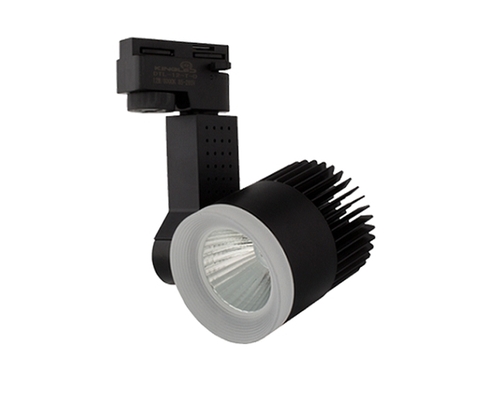 den-ray-roi-diem-30w-vo-den-4000k-kingled-dtl-30-tt-d