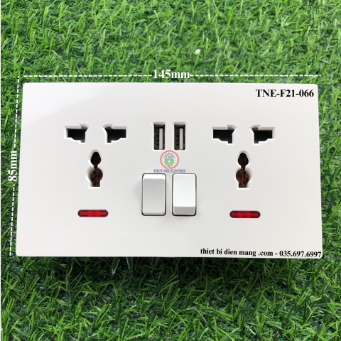 Ổ Điện Đôi Có Công Tắc Kết Hợp Cổng USB TNE-F21-066
