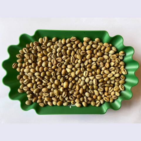 Culi Robusta