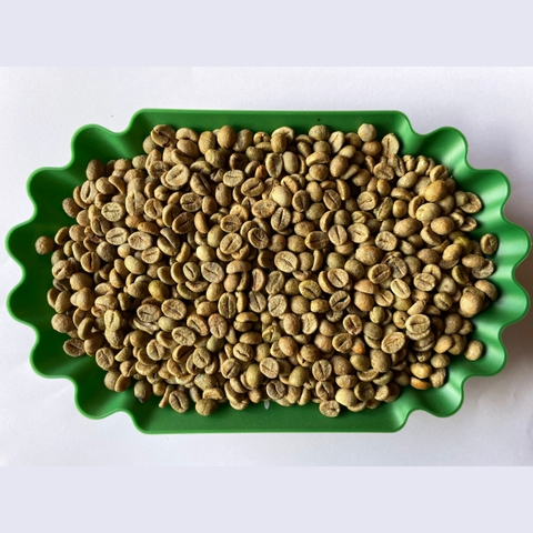 Robusta Clean
