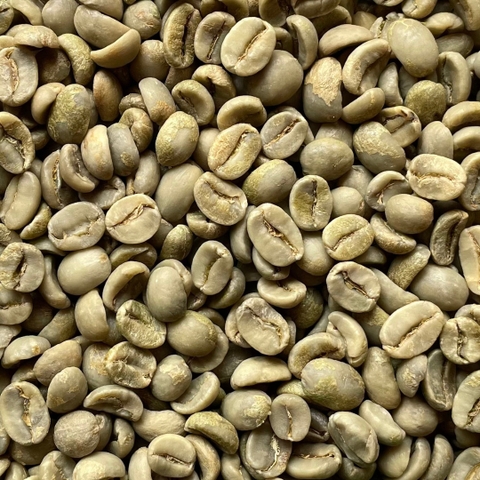 Arabica Cau Dat