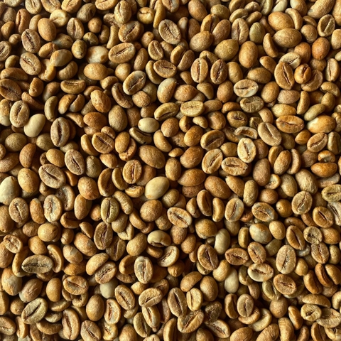 Robusta Natural