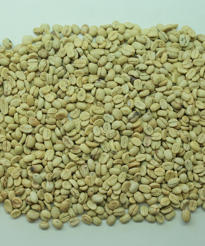 Parchment Arabica