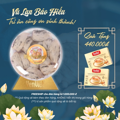 Bạch Nguyên Yến (Tổ Yến Thô Thượng Hạng) 100gr