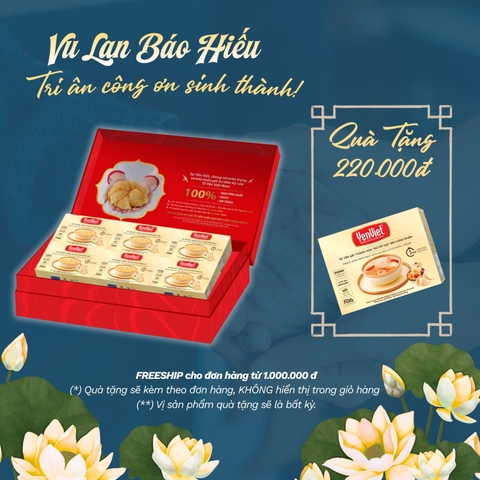 Tổ Yến Sấy Thăng Hoa Với Hạt Sen Nước Dừa