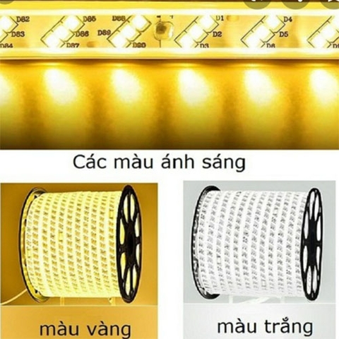 Dây led 2835 180d 3 hàng bóng