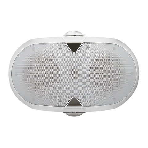 Loa gắn tường DSP220 40W