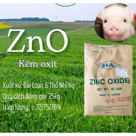 Zinc Oxide ZnO – kẽm oxit